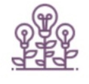 Momentum Labs